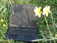 Laptopdafs