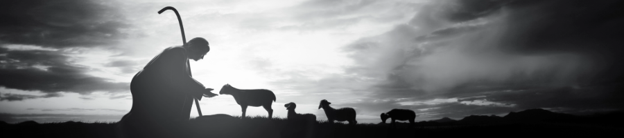Shepherd