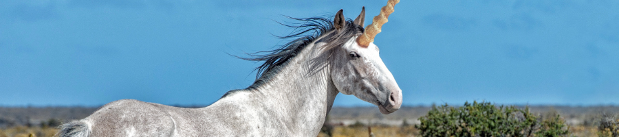 Unicorn